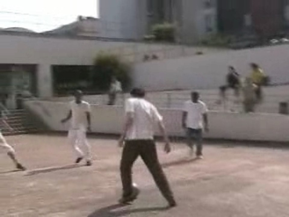 Journées à thème du Cie