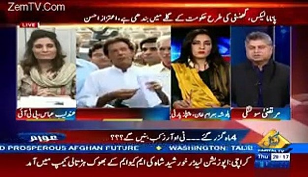 Andleeb Abbas on Panama Leaks & Current Politics