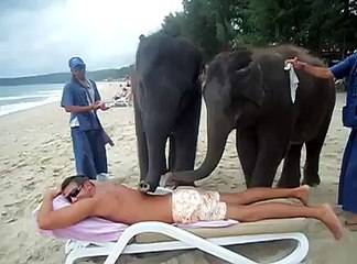OmG massage in bangkok elephant