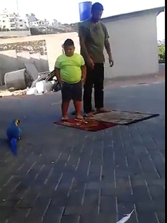 Namaz Kılanlara Musallat Olan Papağan