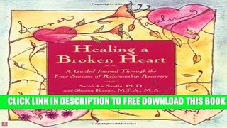 New Book Healing A Broken Heart: A Guided Journal Through the Four Seasons of Relationship Recovery