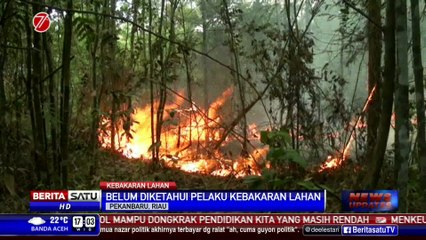 1 Hektare Lahan Milik Universitas Riau Terbakar