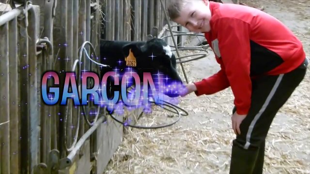 Les mots composés chelous