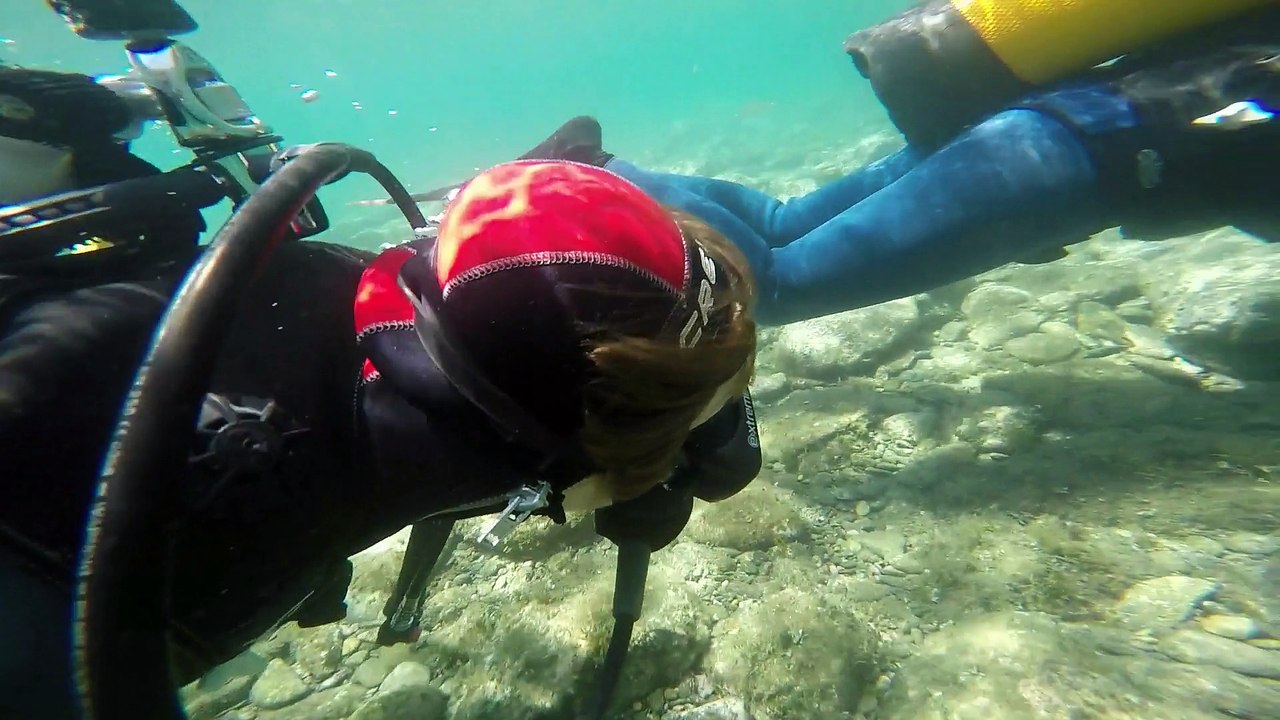 plongée en mer et tortue