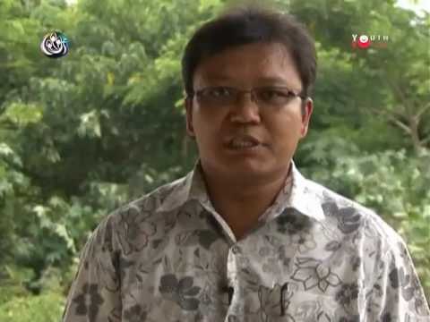 DVB Youth Voice - One Year Special Program II - Part 1 of 2