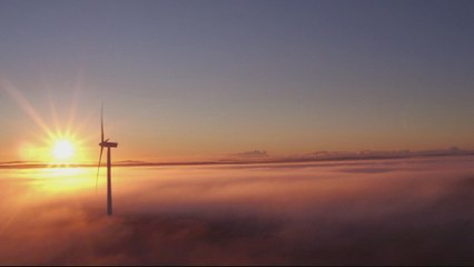 Australia blocks Chinese bids for energy grid