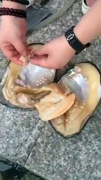 OMG ! Elle ne s'attendait pas à une telle surprise en ouvrant ce coquilage