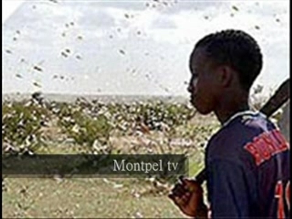 Kenza Farah Featuring Soprano(Freestyle)