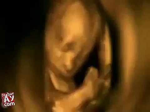 anne karnindaki bebegin gelisimi