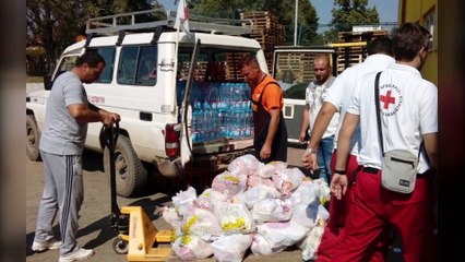 Kryqi i Kuq: Janë mbledhur 720 mijë euro, ja si do të ndahen paratë