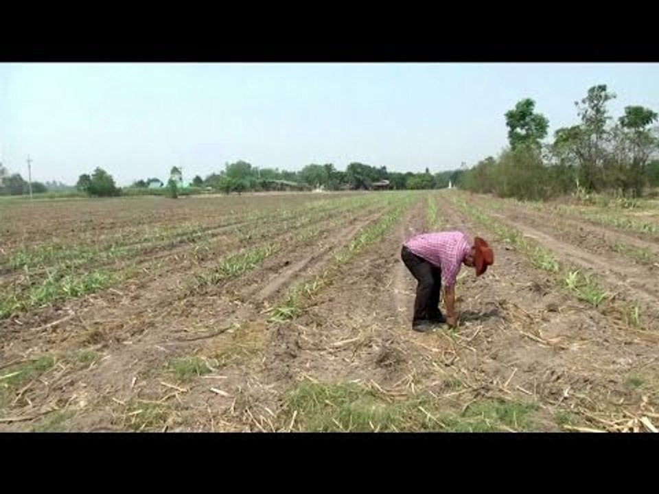 DVB Bulletin: 13 April 2016