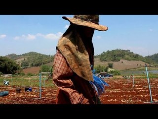 Migrant children left out of new democracy