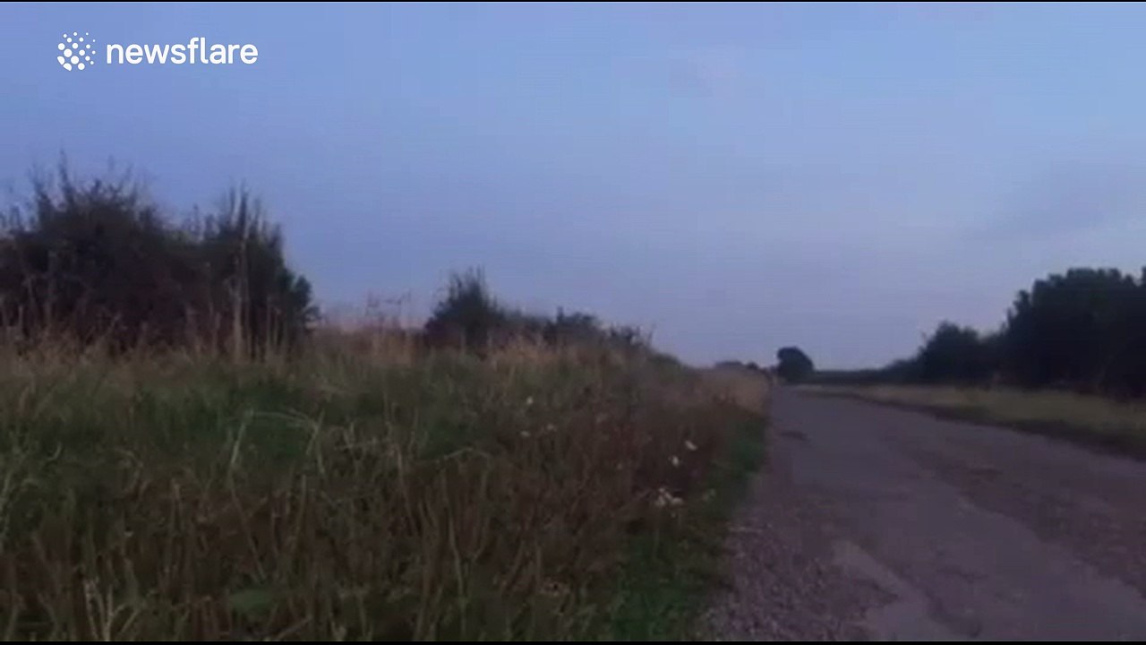 Thrill-seekers engage in a spot of 'offroad kayaking'