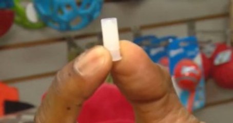 Ses Çıkaran Oyuncak Yutan Çocuk Her Nefes Alışında Ötüyor