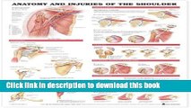 [PDF] Anatomy and Injuries of the Shoulder Anatomical Chart Full Colection
