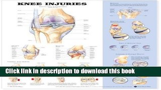 [PDF] Knee Injuries Anatomical Chart Full Online