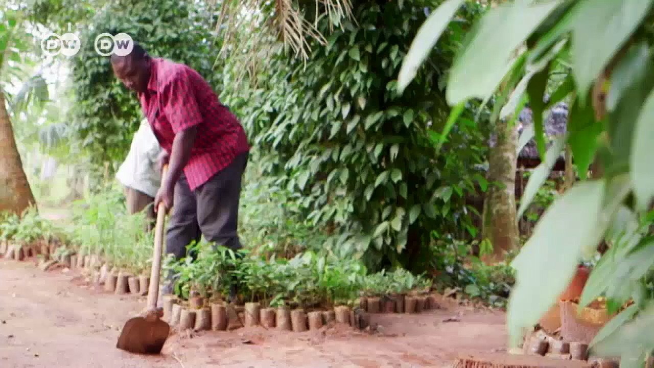 Tanzania: The "Spiceman" fom Zanzibar | Africa on the Move