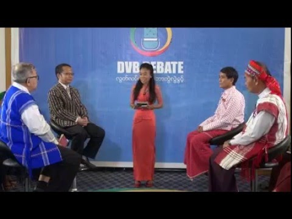 DVB Debate Live: how to build a Federal State?  (27.2.2016)