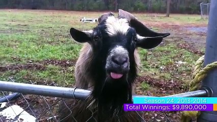 America's Funniest Home Videos WINNING VIDEOS