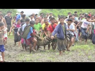 DVB Bulletin: 25 February 2016