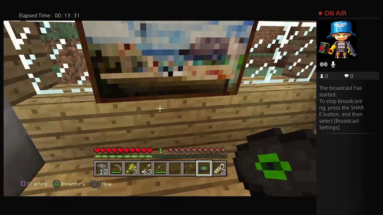 Minecraft (10)