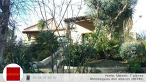 A vendre - Maison/villa - Montesquieu des alberes (66740) - 7 pièces - 370m²