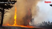 Une impressionnante tornade de feu filmée par un pompier américain