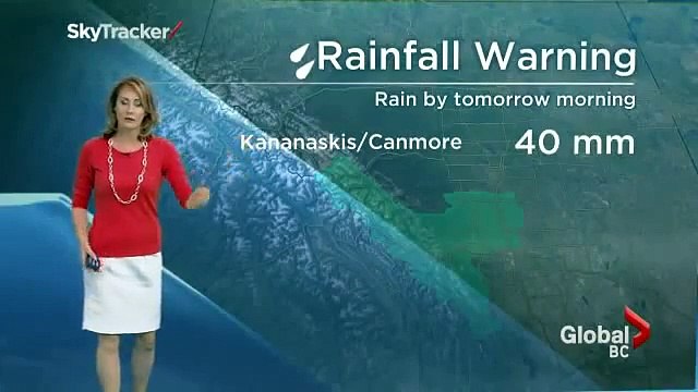 Meteorologist starts screaming in the studio. Shocking something scares her to death