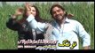 Pashto New Album Song Staso Khwakha - Halak Dy Samra Khuqaly - Pashto New Song 2