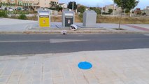 Basura en La Pobla Vallbona valencia
