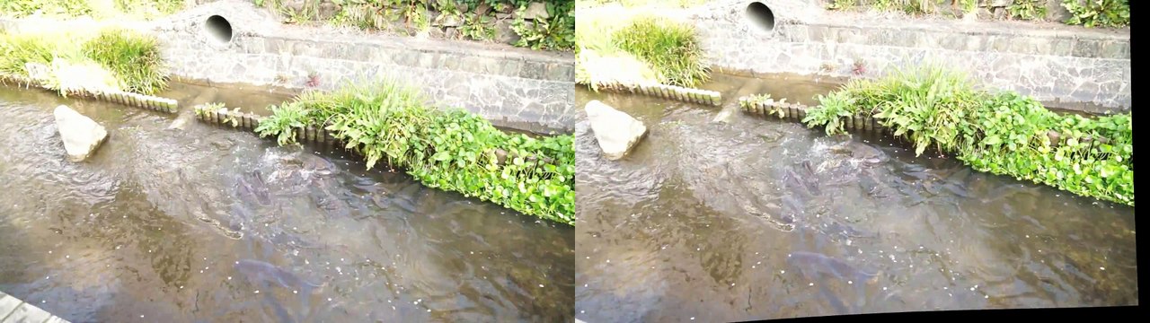 Esta tarjeta SD puede estabilizar tus vídeos tras grabarlos