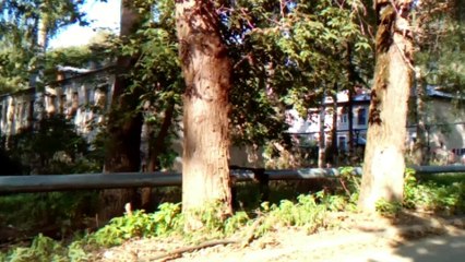 Краснозвёздная родная