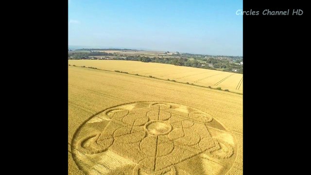 Crop Circles 2016 - Nursteed Farm, nr Devizes, Wiltshire, UK - 17th August 2016 - UFO 2016