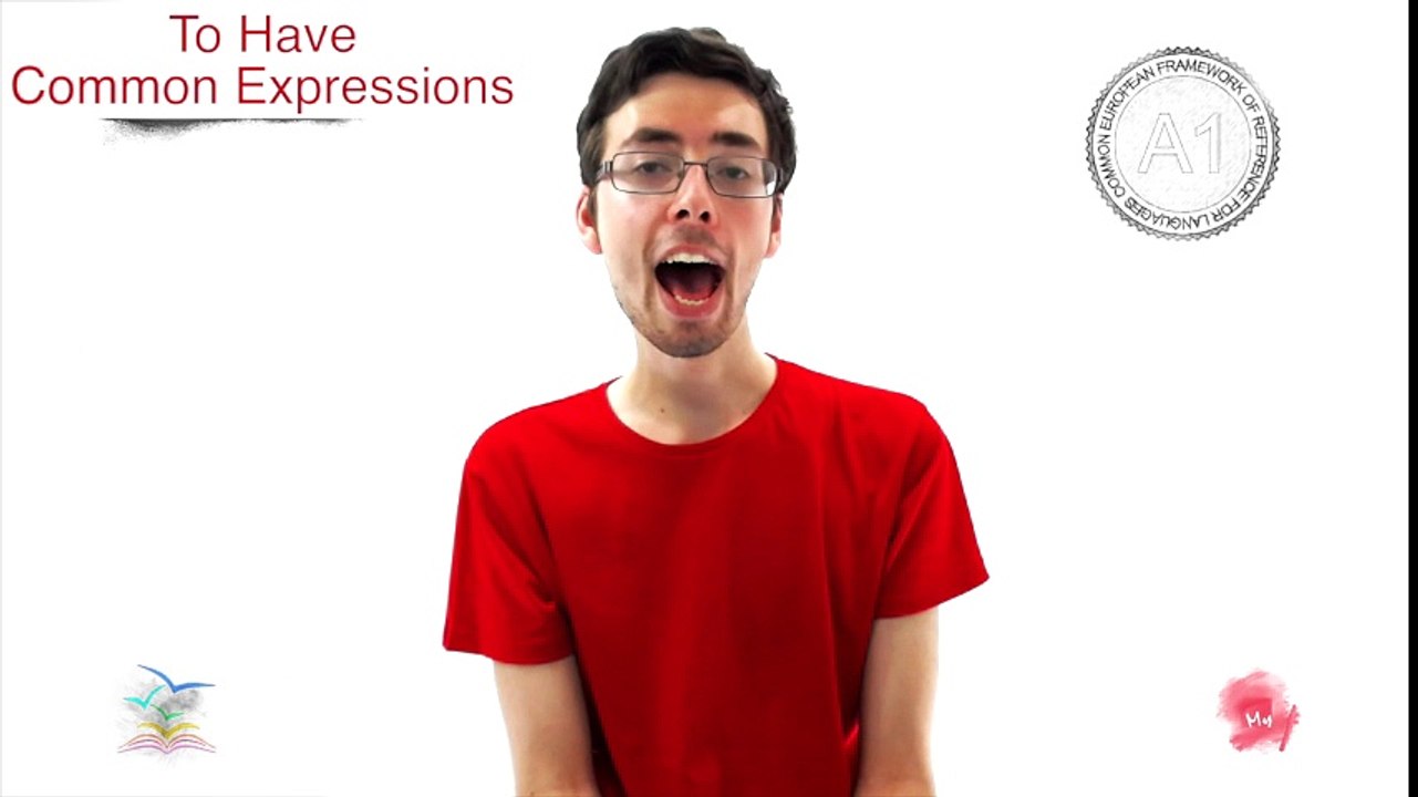 A1 23 To Have: Common Expressions