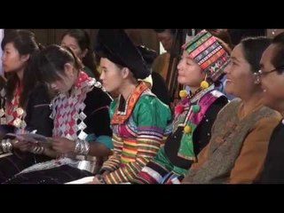 DVB Debate News Flash:What are the challenges for ethnic parties?