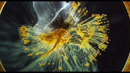 Voyage of Time: Life's Journey – Nuevo tráiler del documental de Terrence Malick