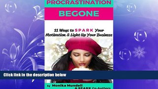 READ book  Procrastination Begone: 11 Ways to SPARK Your Motivation   Light Up Your Business