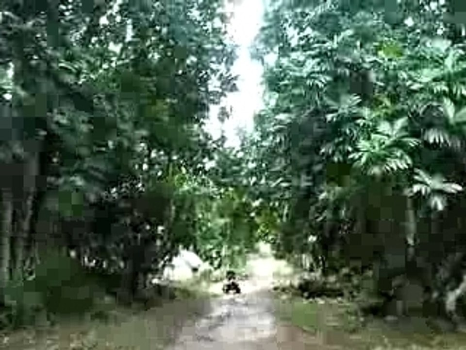 Quad sainte marie ( madagascar )