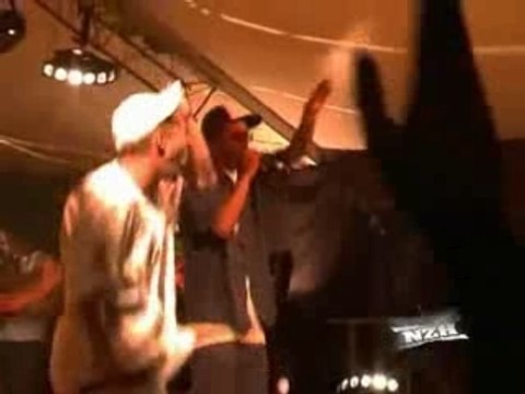 NZH - Dancehall Fever