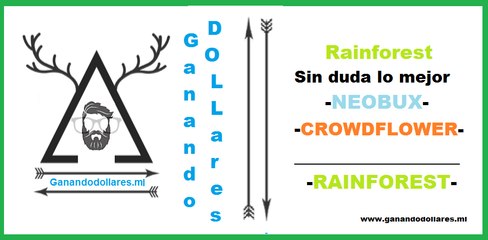 Rainforest sin duda lo mejor  NEOBUX CROWDFLOWER RAINFOREST