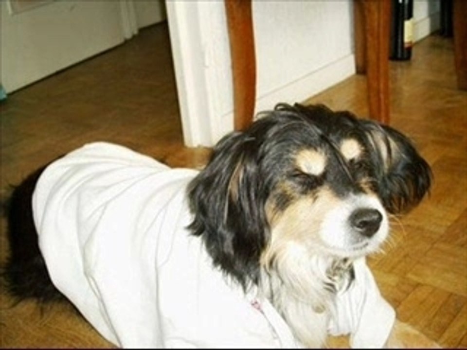 Oliver_0001