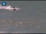 Turista paulista morre após ataque de tubarão em Recife