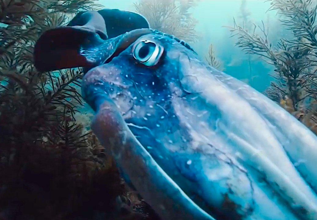 Voyage of Time with Brad Pitt - Official IMAX Trailer