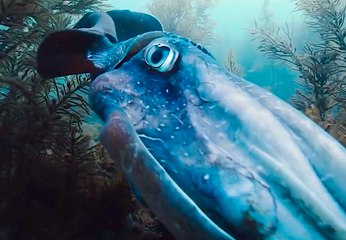 Voyage of Time with Brad Pitt - Official IMAX Trailer