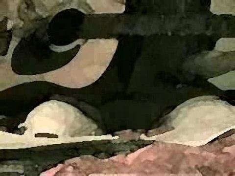 The Killers - Mr Brightside (cover)