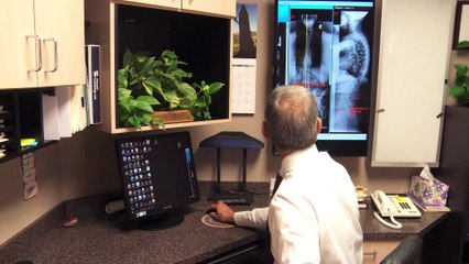 Welcome to Hoewisch Family Chiropractic