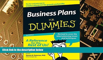 Big Deals  Business Plans For Dummies  Best Seller Books Best Seller