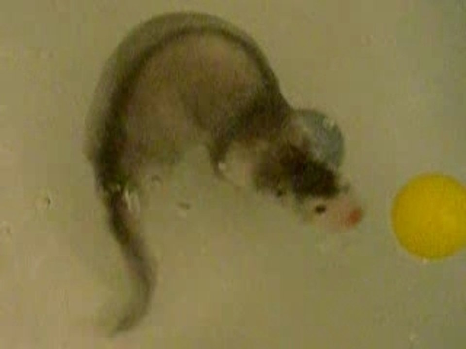 avalon dans le bain 2