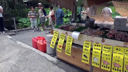 Japan  Days 1&2- Tokyo