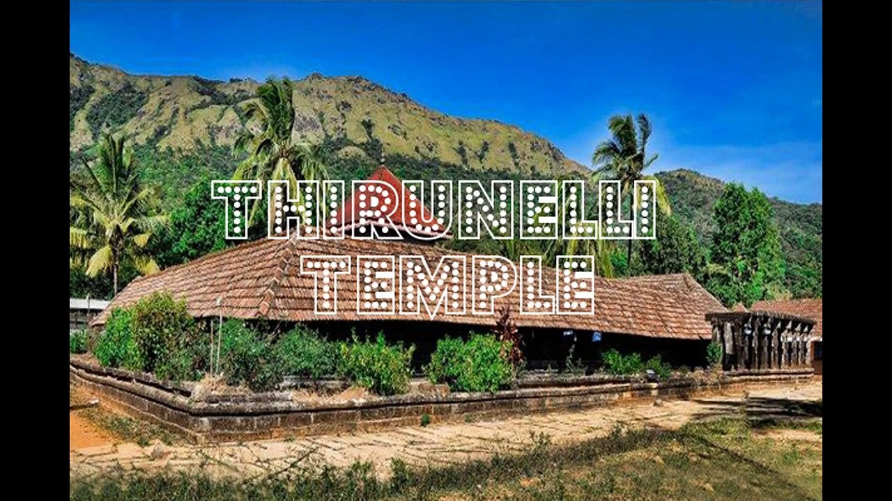 Wayanad Tour Package  | Travel Agent In Thrissur